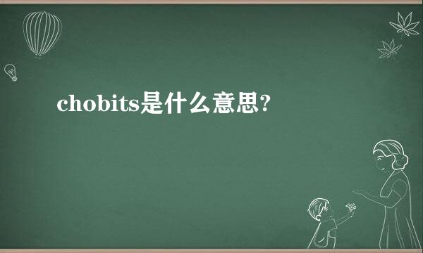 chobits是什么意思?