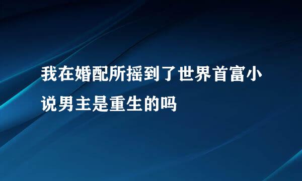 我在婚配所摇到了世界首富小说男主是重生的吗