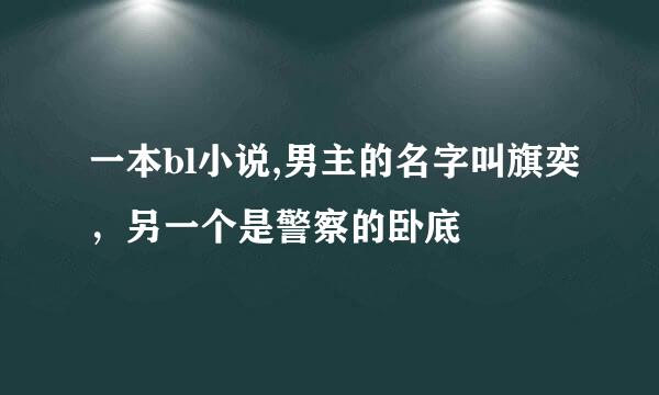 一本bl小说,男主的名字叫旗奕，另一个是警察的卧底