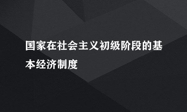 国家在社会主义初级阶段的基本经济制度