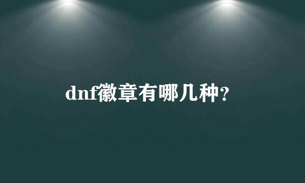 dnf徽章有哪几种？