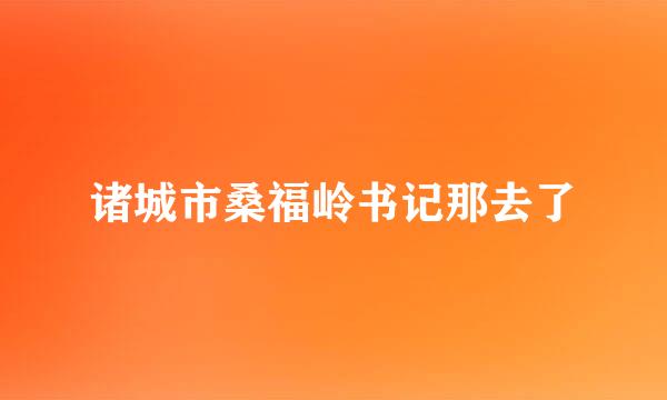 诸城市桑福岭书记那去了