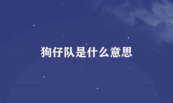 狗仔队是什么意思