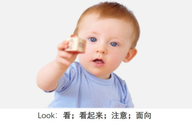 look into什么意思