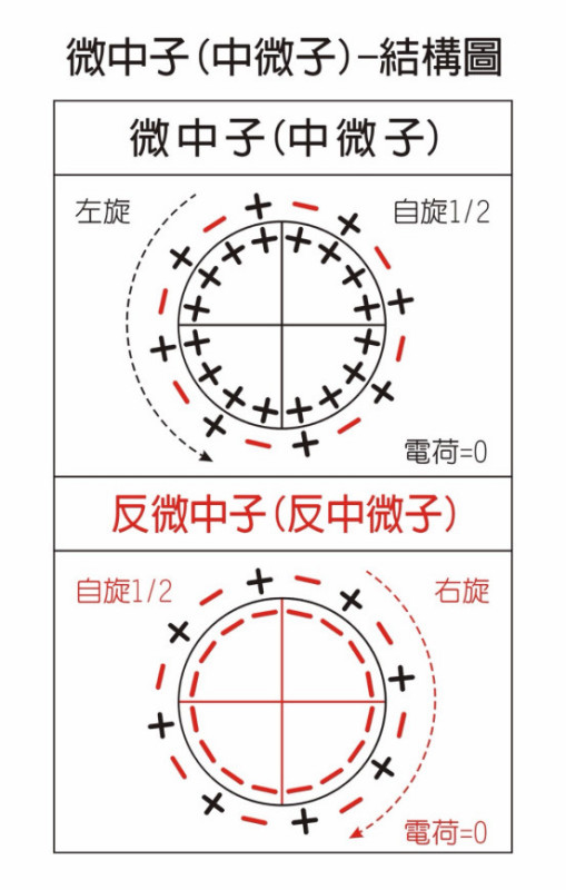 基本粒子有哪些