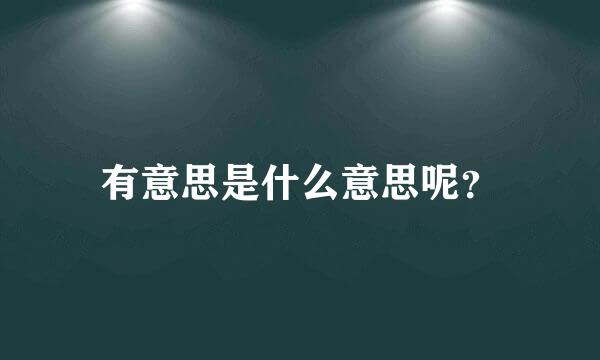 有意思是什么意思呢？