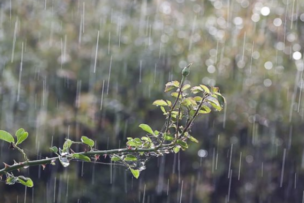 斜风细雨的意思