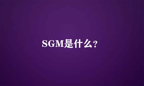 SGM是什么？