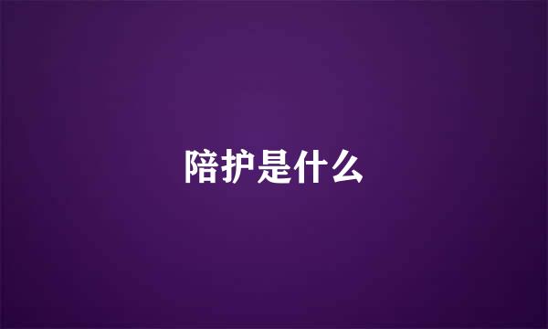 陪护是什么