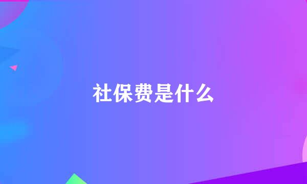 社保费是什么