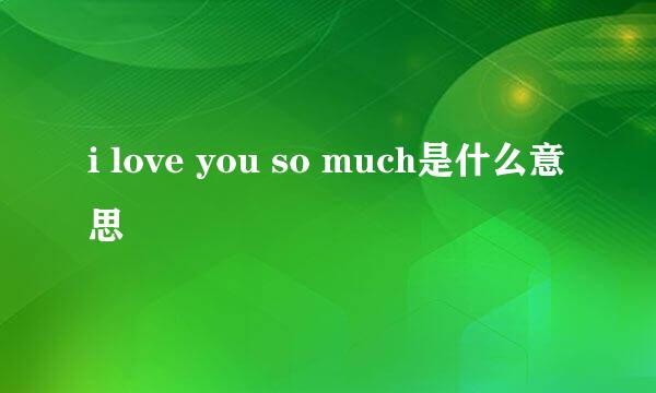 i love you so much是什么意思