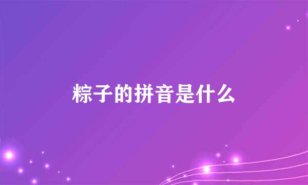 粽子的拼音是什么