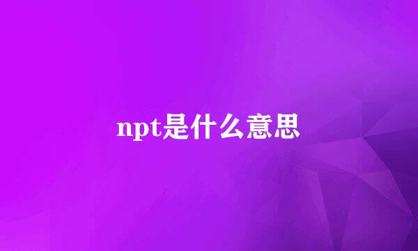 npt是什么意思