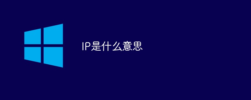 ip是什么意思？