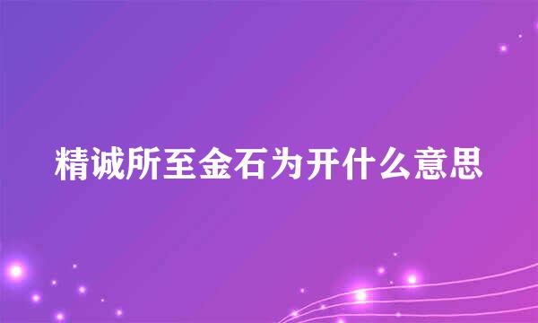 精诚所至金石为开什么意思