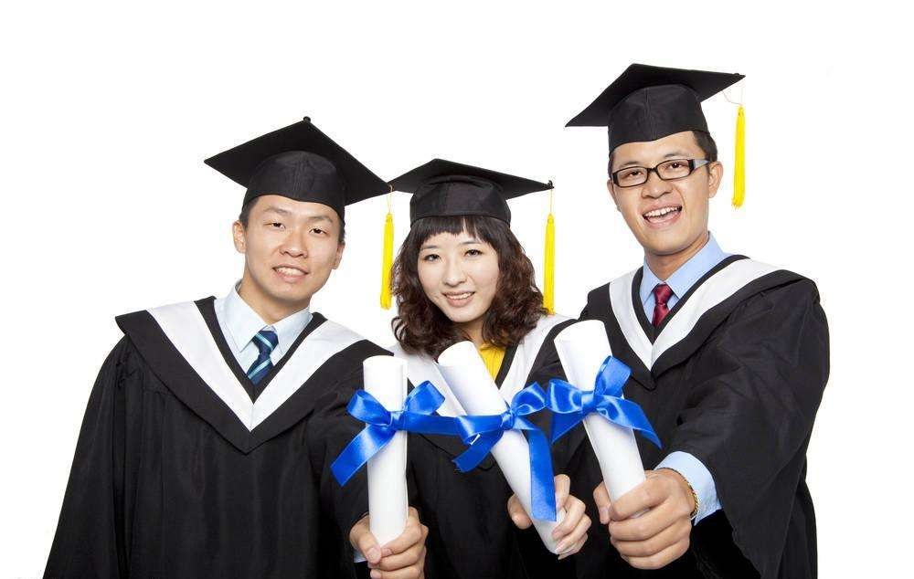 本科毕业是填 Bachelor degree 还是 undergraduate degree?