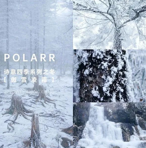 傲雪凌霜是什么意思