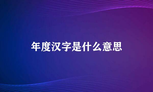 年度汉字是什么意思