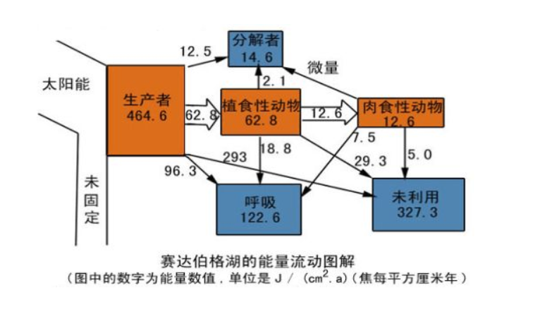 生态系统的能量流动是指能量的什么过程