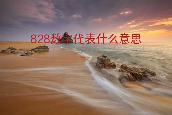 828是什么意思?