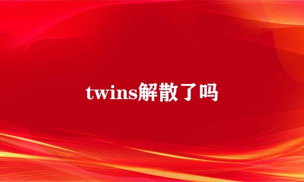 twins解散了吗