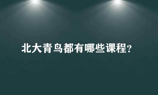 北大青鸟都有哪些课程？