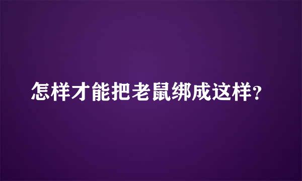 怎样才能把老鼠绑成这样？