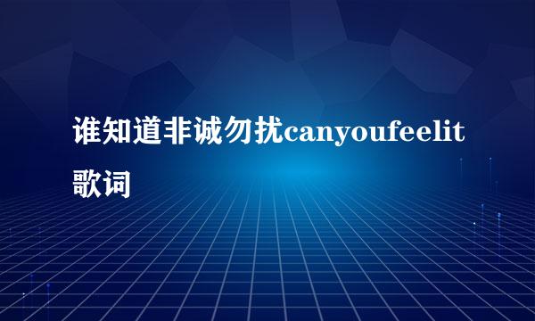 谁知道非诚勿扰canyoufeelit歌词