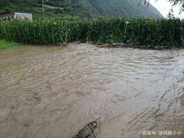 甘肃庆阳遭遇1956年以来最大洪水，造成了多大的伤亡情况？