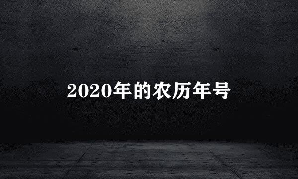 2020年的农历年号