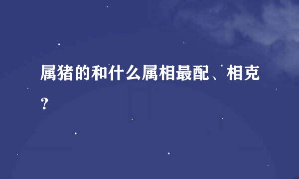 属猪的和什么属相最配、相克？