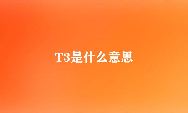 T3是什么意思