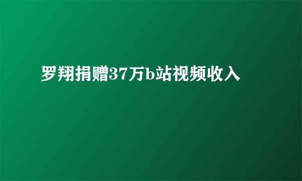 罗翔捐赠37万b站视频收入