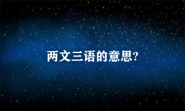 两文三语的意思?