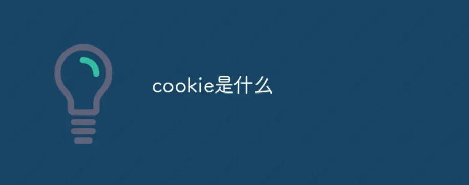 cookie什么意思啊