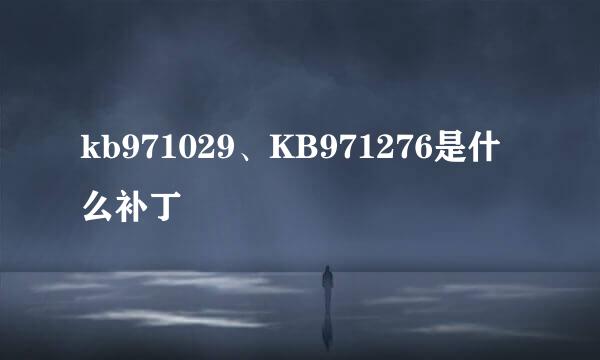 kb971029、KB971276是什么补丁