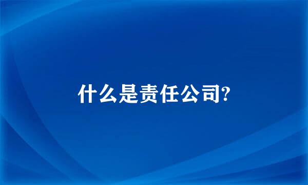 什么是责任公司?