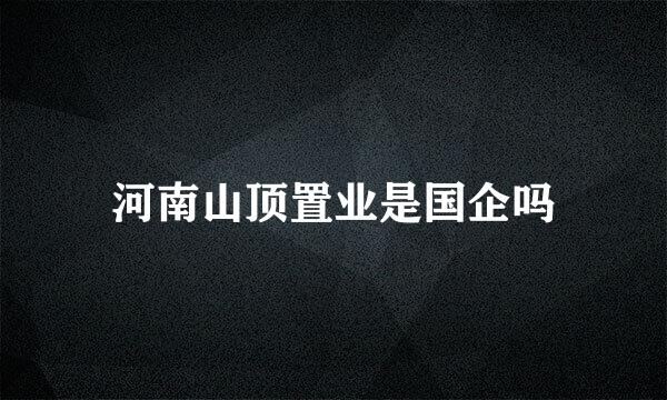 河南山顶置业是国企吗