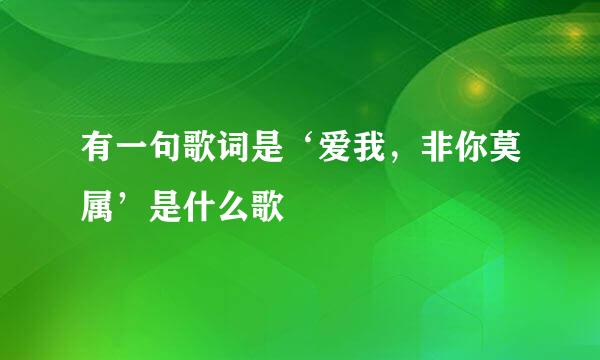 有一句歌词是‘爱我，非你莫属’是什么歌