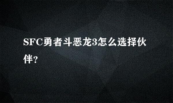 SFC勇者斗恶龙3怎么选择伙伴？