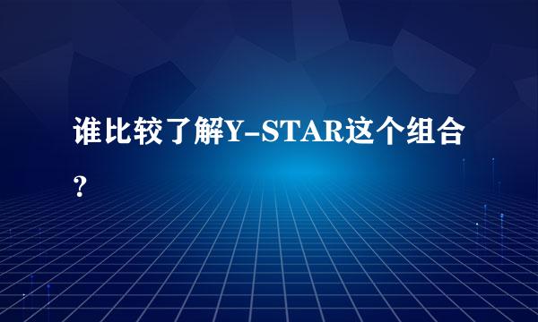 谁比较了解Y-STAR这个组合？