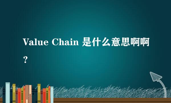 Value Chain 是什么意思啊啊？