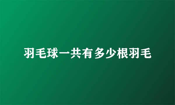 羽毛球一共有多少根羽毛