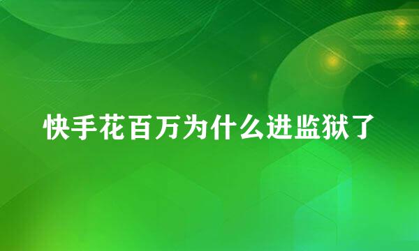 快手花百万为什么进监狱了