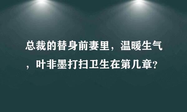 总裁的替身前妻里，温暖生气，叶非墨打扫卫生在第几章？