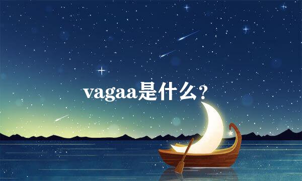 vagaa是什么？