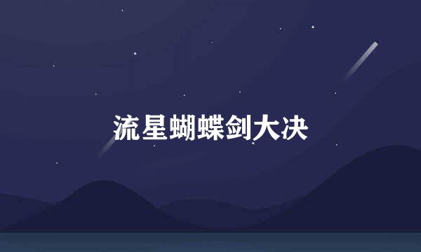 流星蝴蝶剑大决