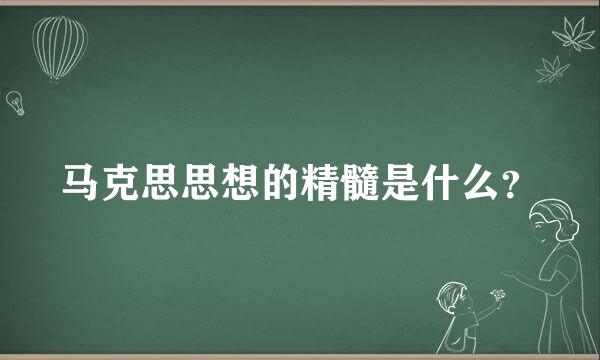 马克思思想的精髓是什么？