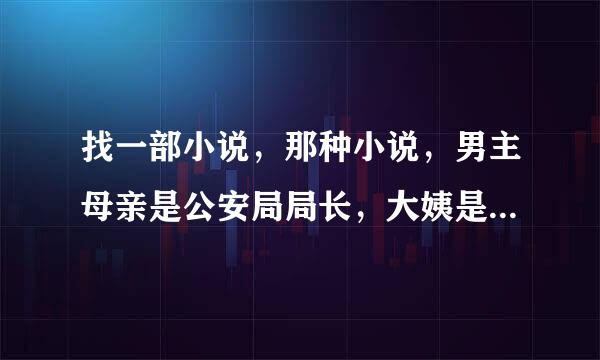 找一部小说，那种小说，男主母亲是公安局局长，大姨是政法委书记，还有个姐姐，父亲也是个当官的姓王（不