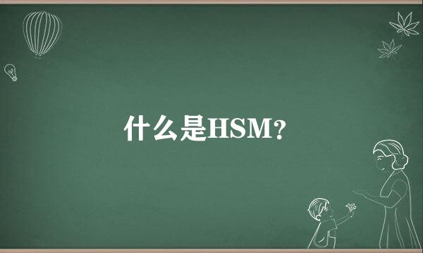 什么是HSM？